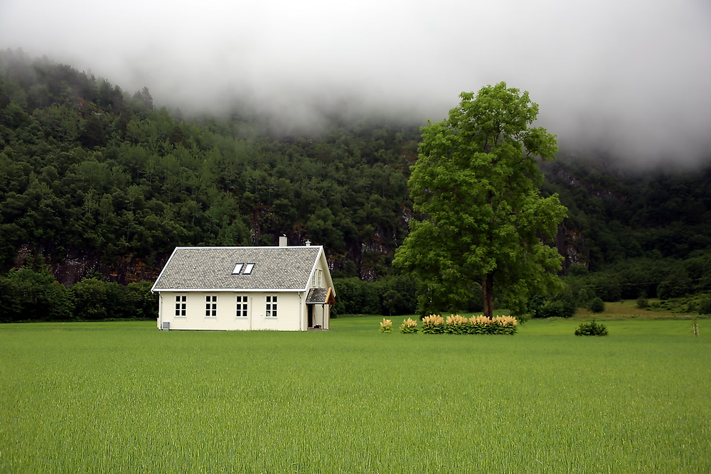 How DreamDen Helps Homeowners Go Green