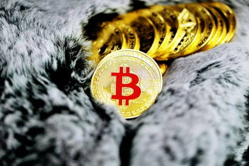 Crypto Fundamentals