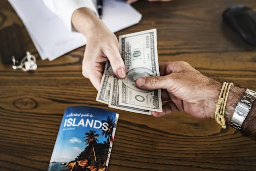 Travel Planning or Cruise Franchise